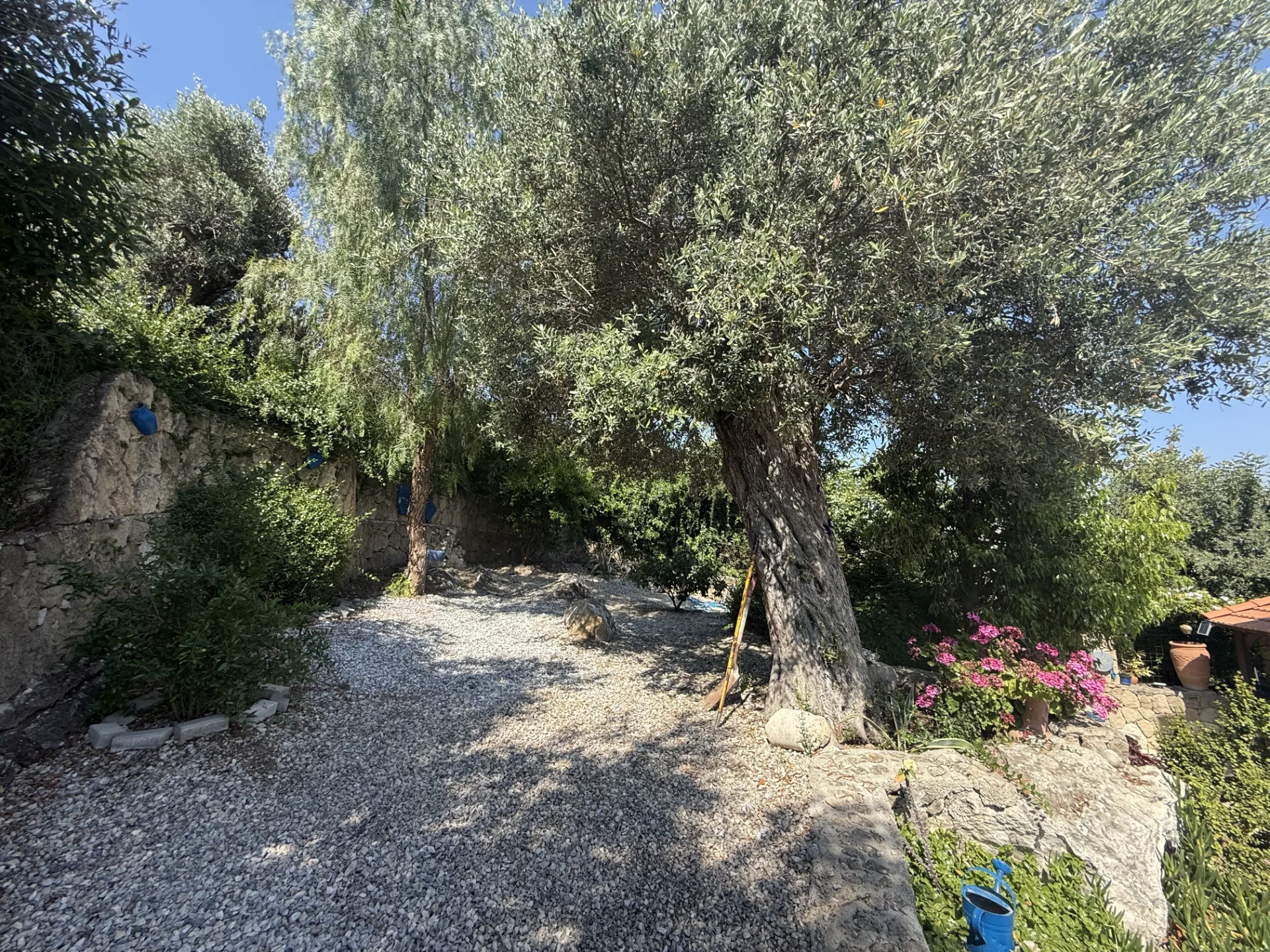 3-Bedroom Villa in Çatalköy — 6