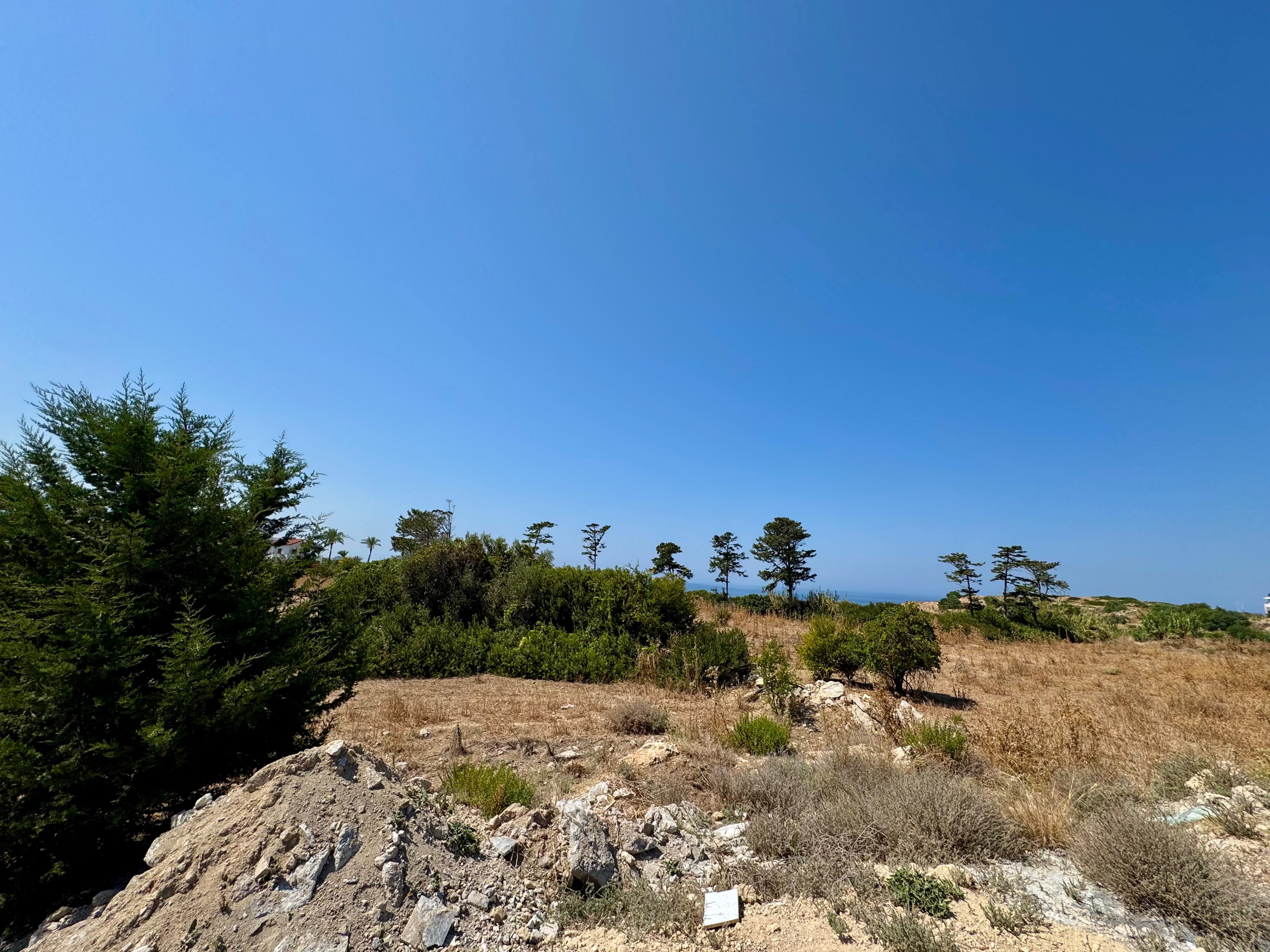 Ozanköy–Çatalköy Sınırında Yatırımlık Arsa | Yaklaşık 7.700 m² — 6