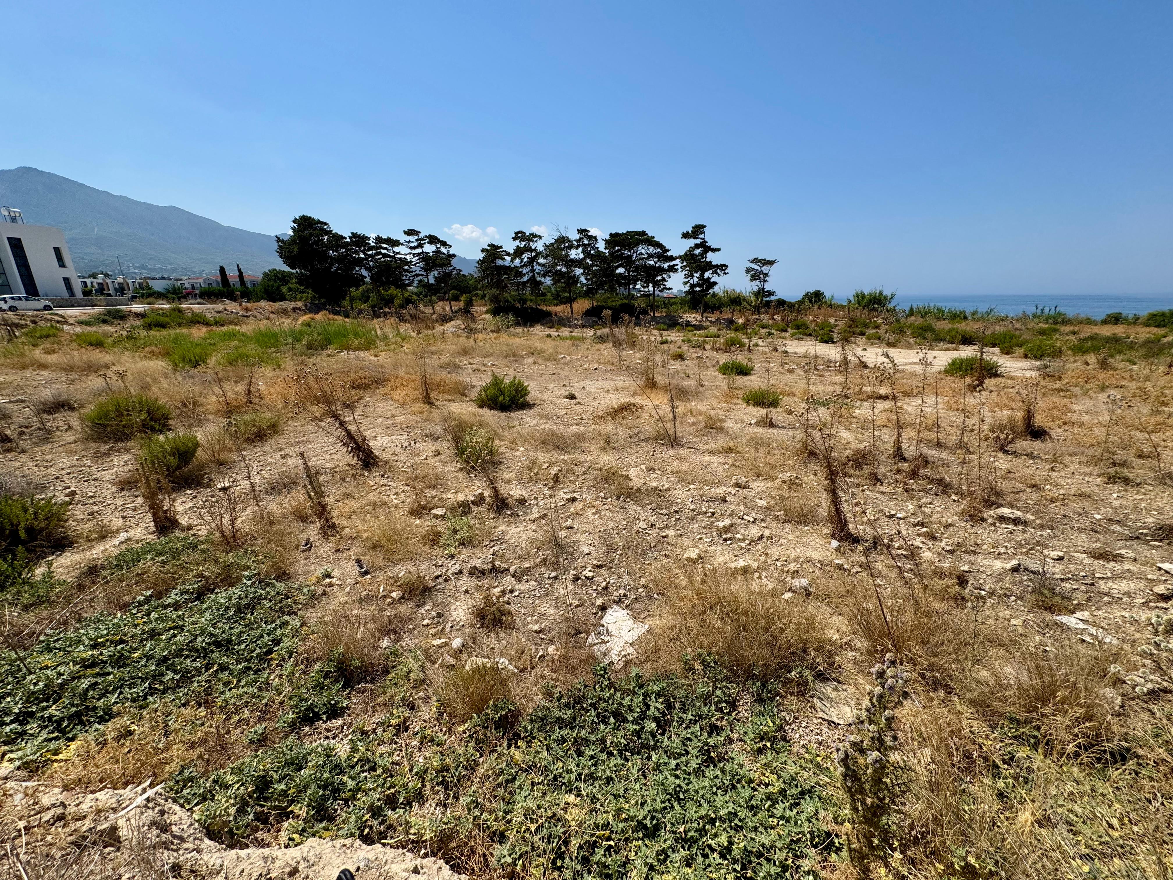 Ozanköy–Çatalköy Sahil Bölgesinde Yaklaşık 5.020 m² Yatırımlık Arsa — Chapter One Realty