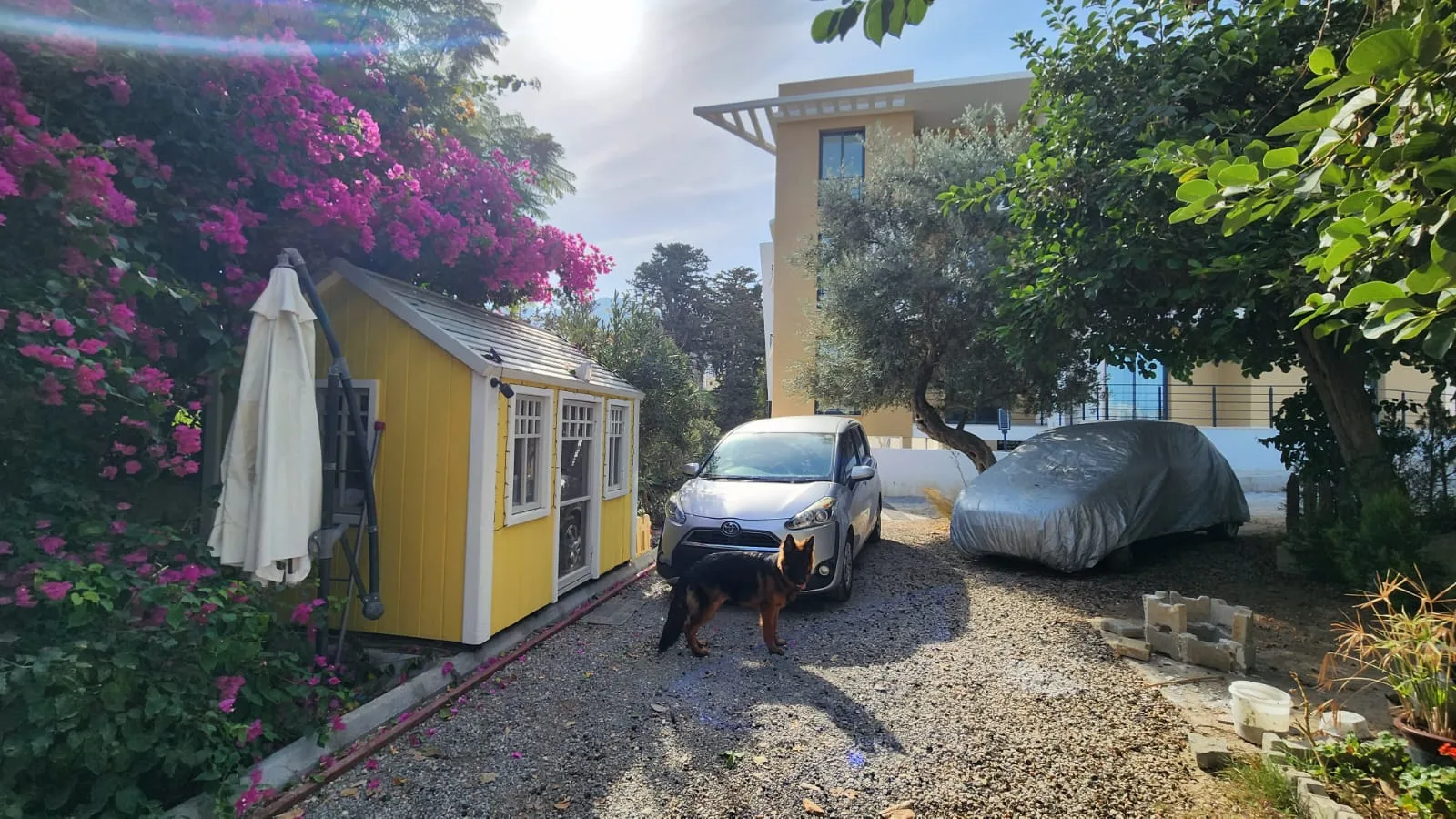 Möblierte 2+1-Erdgeschosswohnung mit Garten in Alsancak — £999/Monat