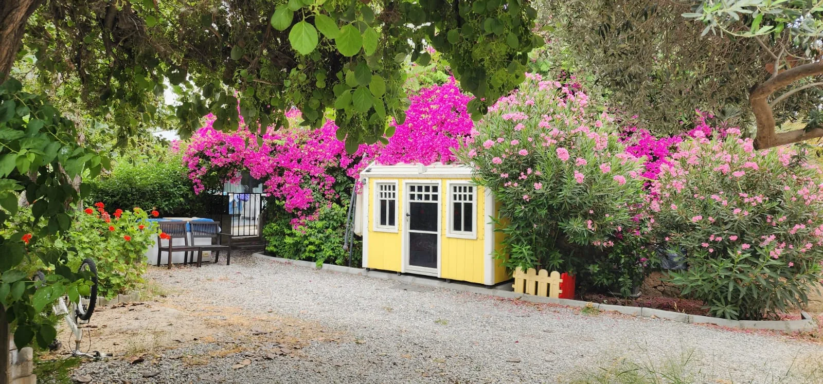 Möblierte 2+1-Erdgeschosswohnung mit Garten in Alsancak — £999/Monat